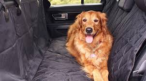 Best Dog Car Seat Covers Askmen