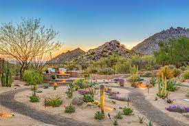 Arizona Landscape Contractors