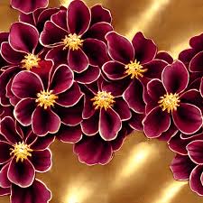 beautiful maroon flowers with gold