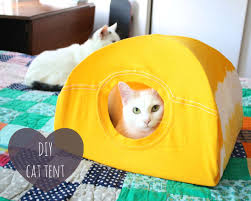 diy comment faire une cabane pour chat