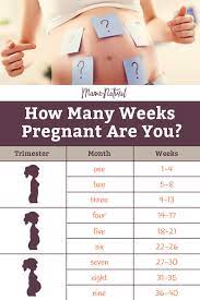 pregnancy weeks to months how to do