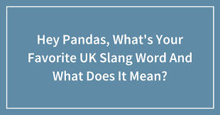 uk slang word and what does it mean