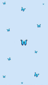 Blue butterfly wallpaper ...