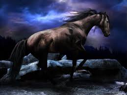 horse backgrounds for your computer