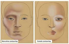 male vs female contouring