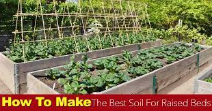 soil for raised beds how to make the