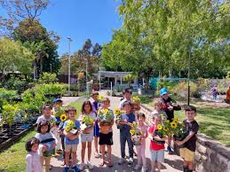 children s seed growing city