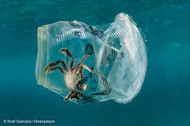 Resultado de imagen para oceanos o plastico