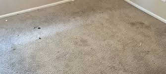 dallas area rug cleaning coconut cleaning