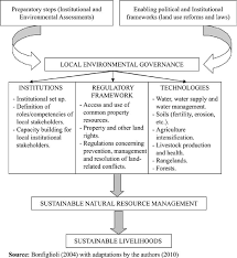 local environmental governance an