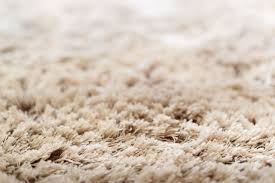 try these rv carpet cleaning tips and