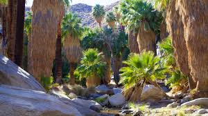 10 fun things to do in palm springs