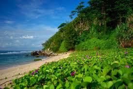 Pantai momong | eky momong resort lampuuk. Pantai Momong Surga Tersembunyi Di Pesisir Barat Aceh Glory Travel Tours