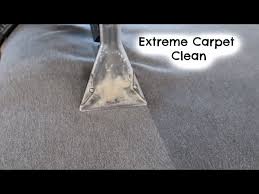 extreme carpet deep clean before and