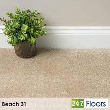 beach 31 sophistication supreme carpet