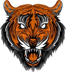 tiger face ilration vector