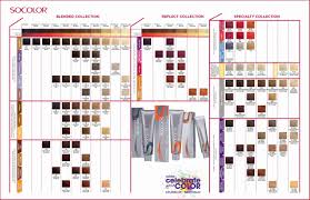 Redken Color Fusion Chart Extra Lift Cute Cover Fresh Of All