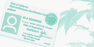 Check spelling or type a new query. Ultimate Guide To Get A Medical Marijuana Card Leafwell
