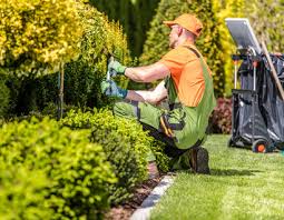 Landscaping And Lawn Care Services Long