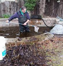 How Much Does Pond Maintenance Cost