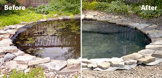 Good pond water quality often involves a continuous exchange of fresh water. How To Get Rid Of Algae In Your Garden Pond Garden Gate
