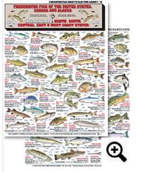 Freshwater Identification Chart 8 Contains 64 Freshwater