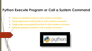 python execute program or call a system