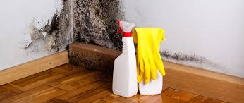 Use Bleach To Clean Mould