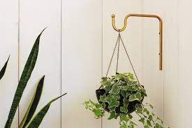 Planter Hanger Minimalist Plant