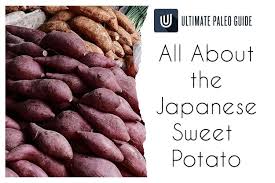 Japanese purple sweet potatoes are botanically classified as ipomoea batatas and are members of the convolvulaceae or morning glory family. All About The Japanese Sweet Potato Ultimate Paleo Guide