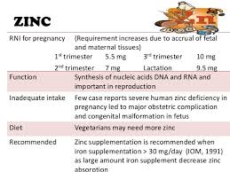 Nutrition Pregnancy