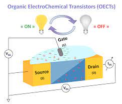 As part of safety upgrades on namatjira drive, transport canberra. Molecules Free Full Text Organic Electrochemical Transistors Oects Toward Flexible And Wearable Bioelectronics Html