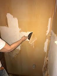 wallpaper removal services sd pro