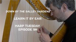 learning down by the salley gardens