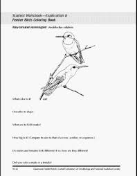 Below are printable bird coloring pages of songbirds, passerines (perching birds) and nonpasserine species. Bird Coloring Pages Free Printable Realistic
