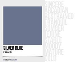 How Does The Color Silver Blue 69738e