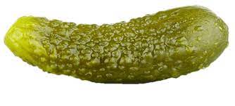 Single Pickle (Gherkin) transparent PNG - StickPNG