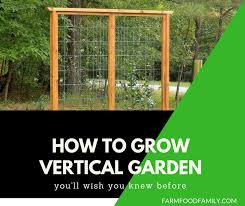 vertical garden diy how to build your