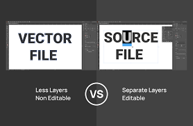 vector file vs source file