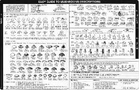 Easy Guide To Mushroom Identification