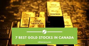 advisorsavvy 7 best gold stocks in canada
