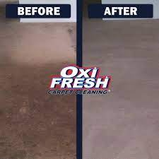 oxi fresh carpet cleaning 143 union