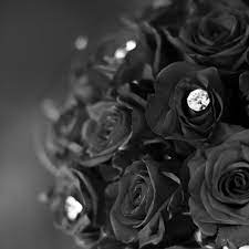 Black Roses Wallpapers - Top Free Black ...