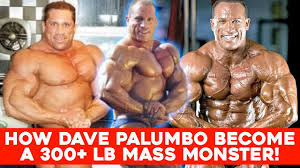 dave palumbo s bodybuilding t you