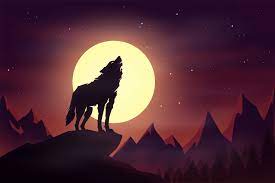 Wolf Moon ...