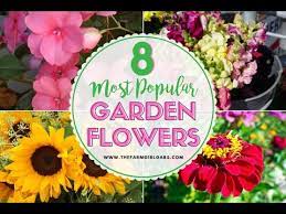 popular flowers to plant in your garden