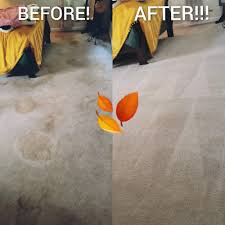 carpet cleaning in summerville sc