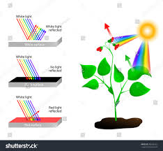 White Reflects All Colors Light Object Stock Vector Royalty