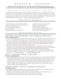 Sample Business Consultant Resume Yomm