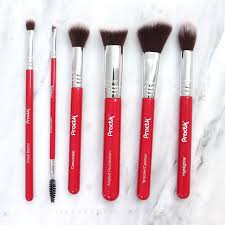 review practk makeup brushes by sigma